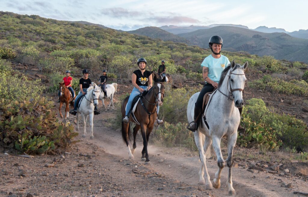 _ACF0550-Mejorado-NR (2) Homepage - volcanic landscapes, expert guides, and horses for beginners and advanced riders. | El Salobrehr - 27