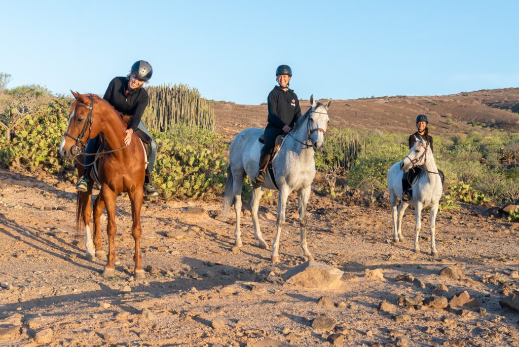 Excursions - Riding a horse, feeling the nature, living a dream. | El Salobrehr - 1