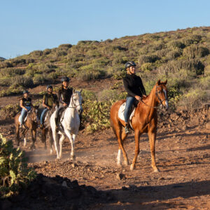 contact-1 Horseback riding 1 hour - Make your dream come true and live this experience, ideal for beginners, who wish to discover the volcanic landscape of Gran Canaria safely, in the company of expert guides. | El Salobrehr - 4