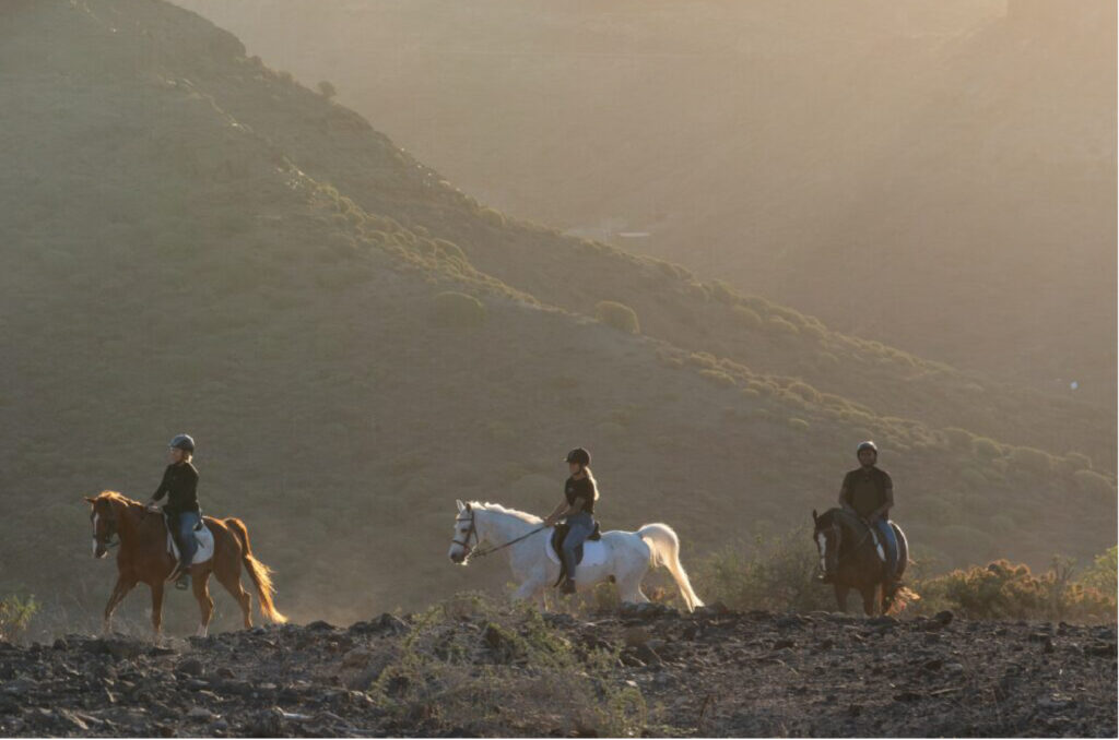 Excursions - Riding a horse, feeling the nature, living a dream. | El Salobrehr - 15