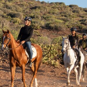 excursions-banner Horseback riding 1 hour - Make your dream come true and live this experience, ideal for beginners, who wish to discover the volcanic landscape of Gran Canaria safely, in the company of expert guides. | El Salobrehr - 3