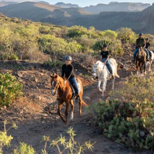 excursions-choose your option Horseback riding 1 hour - Make your dream come true and live this experience, ideal for beginners, who wish to discover the volcanic landscape of Gran Canaria safely, in the company of expert guides. | El Salobrehr - 5