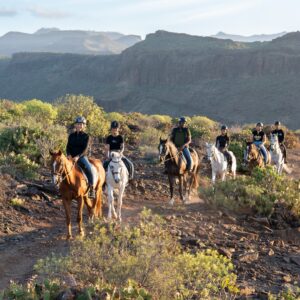 home-banner Horseback riding 1 hour - Make your dream come true and live this experience, ideal for beginners, who wish to discover the volcanic landscape of Gran Canaria safely, in the company of expert guides. | El Salobrehr - 6