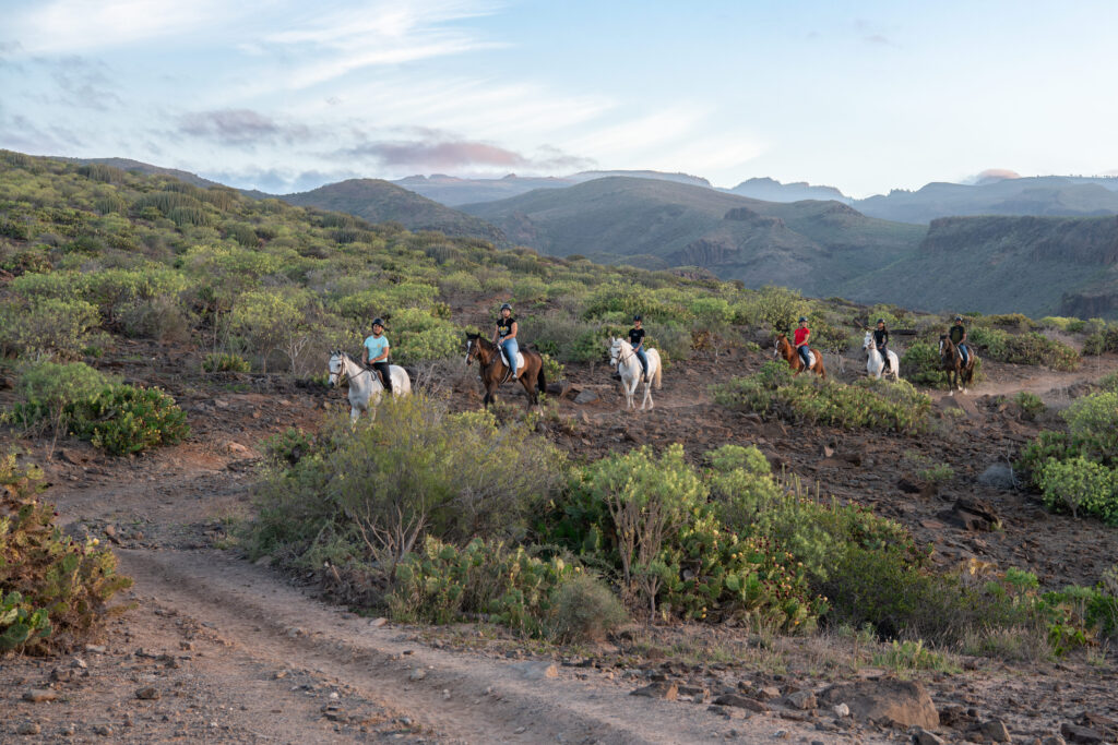 home-paisaje volcanico (1) Homepage - volcanic landscapes, expert guides, and horses for beginners and advanced riders. | El Salobrehr - 30
