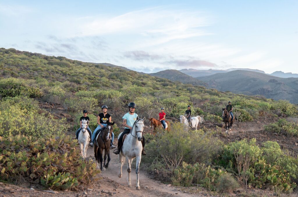 Excursions - Riding a horse, feeling the nature, living a dream. | El Salobrehr - 8
