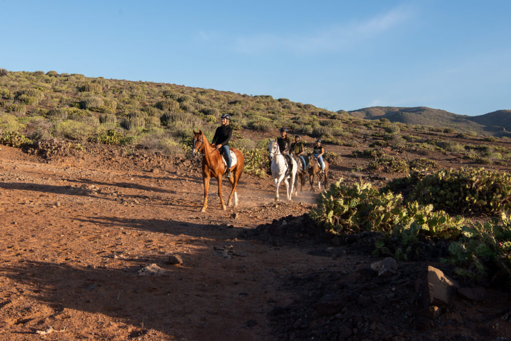 Excursions - Riding a horse, feeling the nature, living a dream. | El Salobrehr - 22