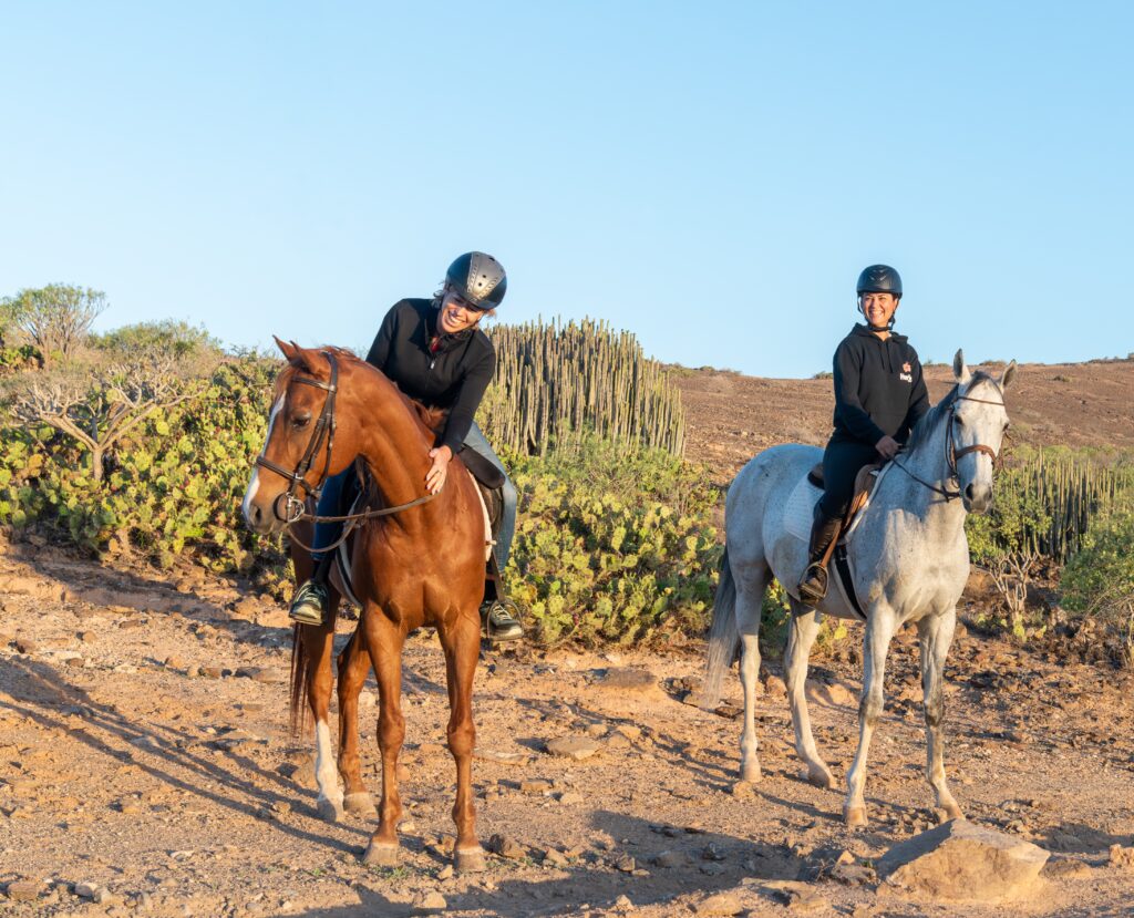 home-rutas para todos Homepage - volcanic landscapes, expert guides, and horses for beginners and advanced riders. | El Salobrehr - 29