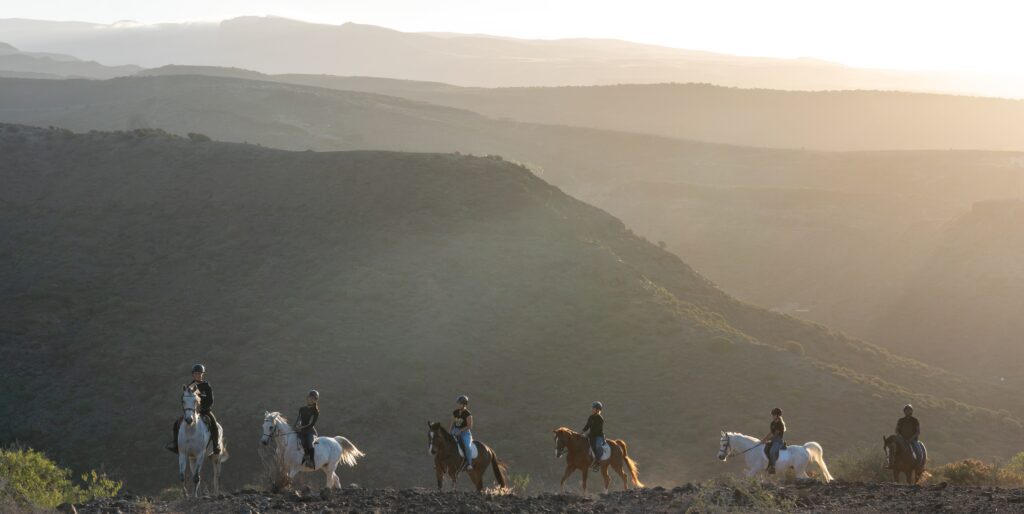 home-sobre nosotros Homepage - volcanic landscapes, expert guides, and horses for beginners and advanced riders. | El Salobrehr - 31